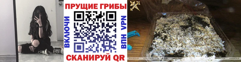 Галлюциногенные грибы Cubensis магазин наркотиков Динская