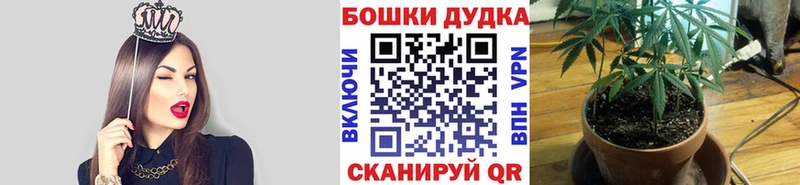 МАРИХУАНА планчик  ОМГ ОМГ зеркало  Динская 
